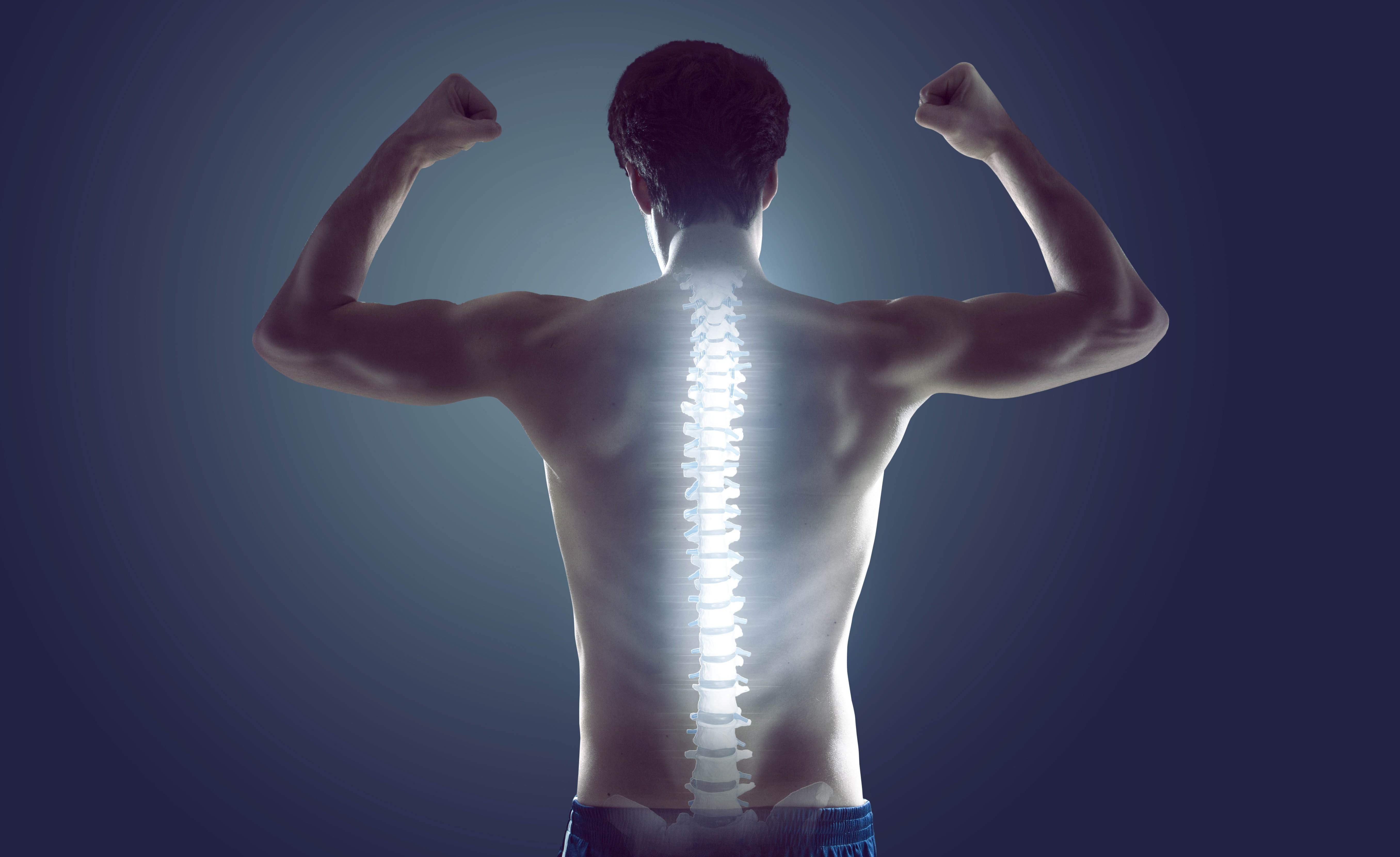 Back of a man flexing, spine is see-through and looks like an xray Back of a man flexing, spine is see-through and looks like an xray